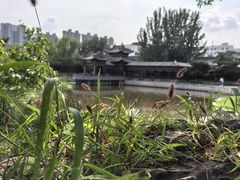 -善化寺
