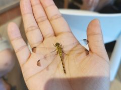 -百里峡七彩艺术小镇