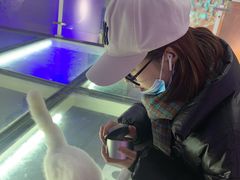 -极木²邸 人与宠物·互动社区