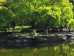-范蠡湖公园