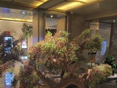 -艺水间水汇