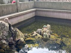 -宁波市保国寺古建筑博物馆