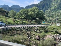 -芦芽山旅游度假区
