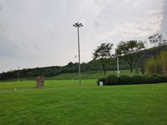 -羊山湖公园