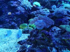 -成都浩海立方海洋公园