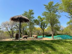 -北京野生动物园