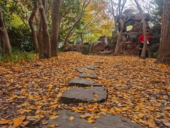 -秋霞圃
