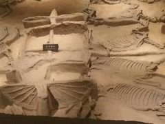 -洛阳周王城天子驾六博物馆