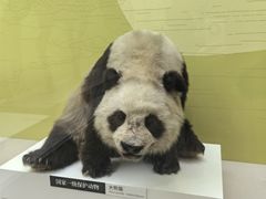 -国家自然博物馆