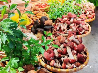 救命！在溪岱岛被这口野生菌鲜到说不出话