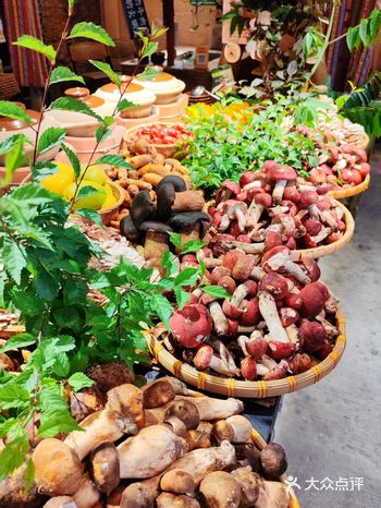 救命!在溪岱岛被这口野生菌鲜到说不出话