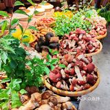 救命!在溪岱岛被这口野生菌鲜到说不出话