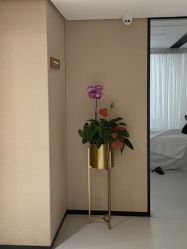 -广东韩妃整形外科医院