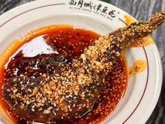 -西月城谭豆花(春熙路店)