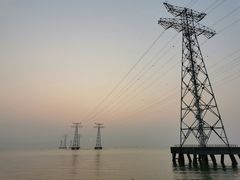 -宝安西湾红树林湿地公园