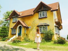 -黄色小屋