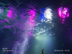 -沈阳海洋探索中心