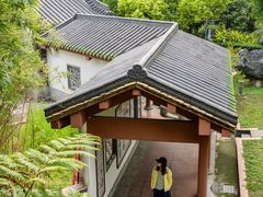 -广州神农草堂中医药博物馆