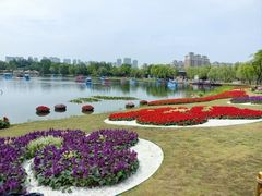 -武汉园博园(武汉自然博物馆)