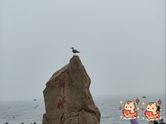 -棒棰岛宾馆景区