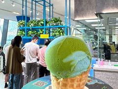 -贝林大翅鲸简餐厅(国家海洋博物馆店)