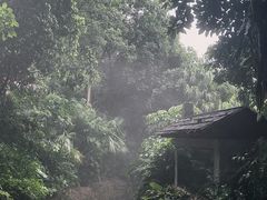 -青青世界