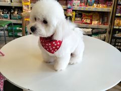-我爱吾宠宠物美容院(朝阳路店)