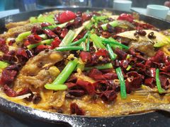 -老板恋上鱼(恒隆广场店)