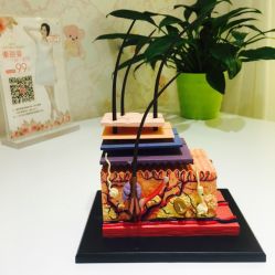 -咪咪比基尼脱毛专业店