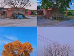 -漢咖啡·全服务式自助晚餐(武汉洲际酒店)