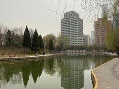 -团结湖公园
