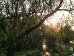 -北坞公园