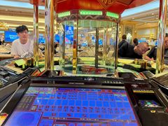 -澳门威尼斯人综合度假区