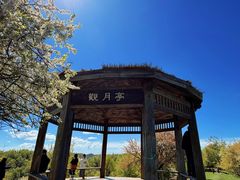 -关山草原