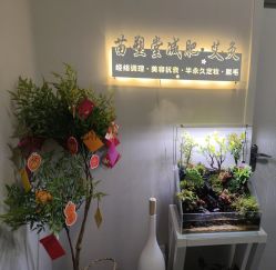 -苗塑堂减肥·艾灸