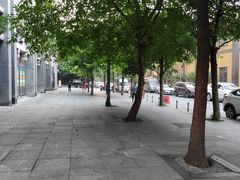 -西木兔(大圆祥店)