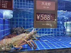 -徐记海鲜(梅溪新天地店)
