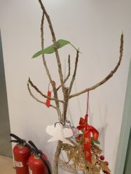-柠檬一美·Ondapro·轻薄紧致抗衰中心