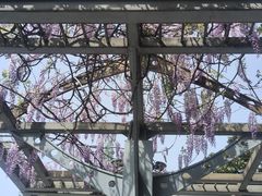 -黄兴公园