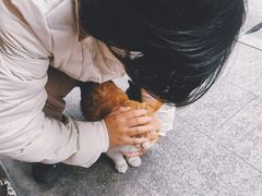 -伊美大酒店(重庆观音桥步行街店)