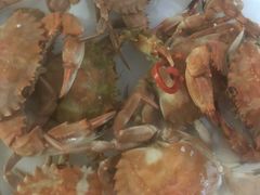 -常家活海鲜小吃(仅一家无分店)