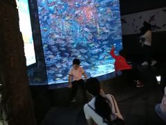 -成都浩海立方海洋公园