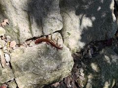 -雁荡山风景名胜区