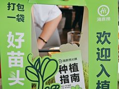 -海底捞火锅(老城根店)