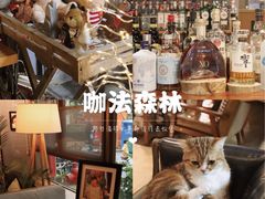 -咖法森林·咖啡  酒吧(天河店)