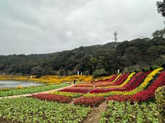 -广州市石门国家森林公园