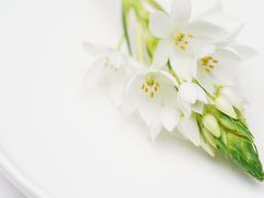 -La Porte de Paris 巴黎之门法式甜品