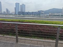 -星海广场