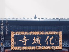 -花红徽菜(九华山青阳店)