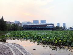 -3W咖啡(国家软件园店)